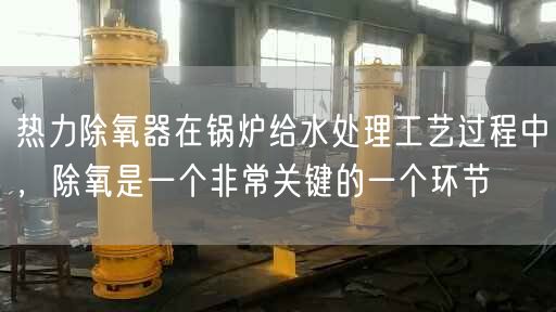 熱力除氧器在鍋爐給水處理工藝過程中，除氧是一個非常關鍵的一個環(huán)節(jié)